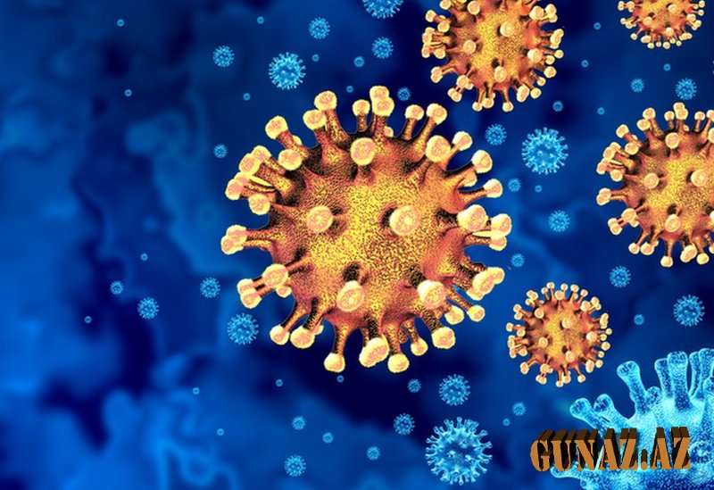 Günün koronavirus statistikası açıqlandı