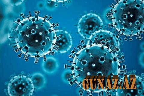 Günün koronavirus statistikası açıqlandı
