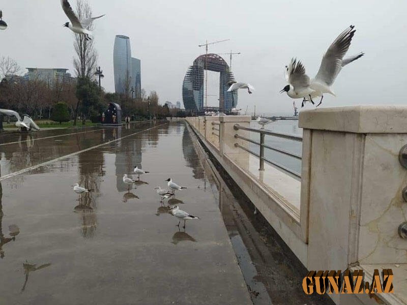 Sabahın havası açıqlandı