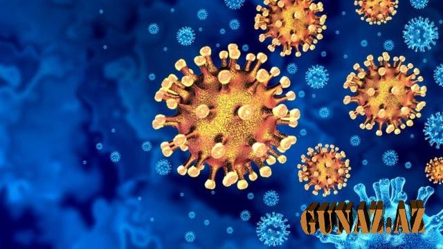 Günün koronavirus statistikası açıqlandı