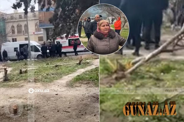 Ağacların kəsilməsi ilə bağlı RƏSMİ AÇIQLAMA