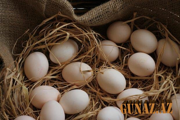Yumurtanın qiyməti süni artırılrır?