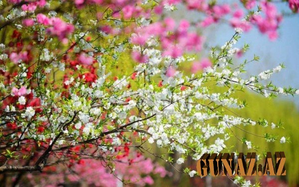Bu gün hava necə olacaq?