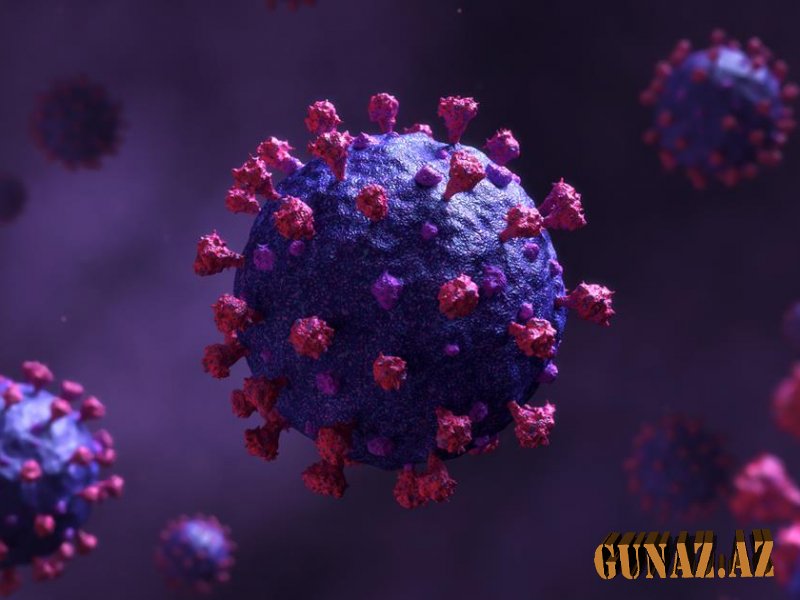Günün koronavirus statistikası açıqlandı