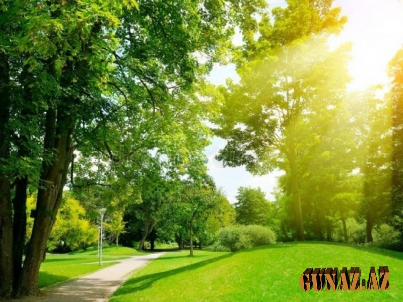 Bu gün temperatur 22 dərəcəyə yüksələcək
