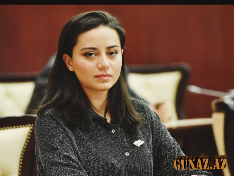 “Deputatın sözü həm də seçicinin sözüdür...”
