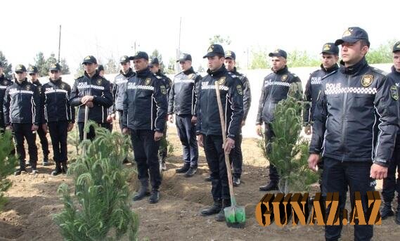 Polislər Heydər Əliyevin 100 illiyi ilə bağlı ağac əkdi