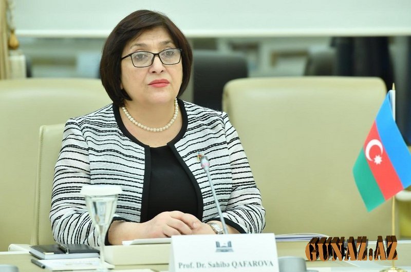 Sahibə Qafarova Türkiyənin vitse-prezidenti ilə görüşdü
