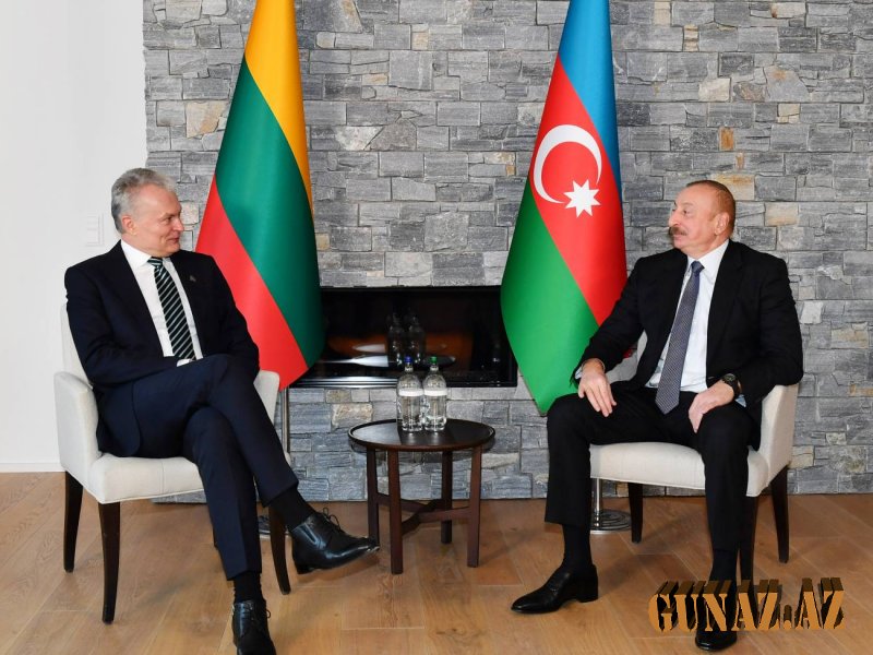 İlham Əliyev Litva prezidenti ilə görüşdü