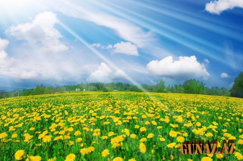May ayının son günü hava necə olacaq?
