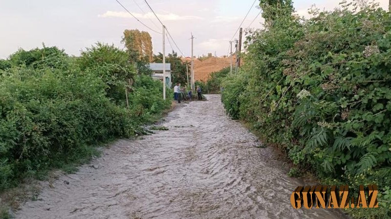 Tovuzda leysan güclü fəsad törədib