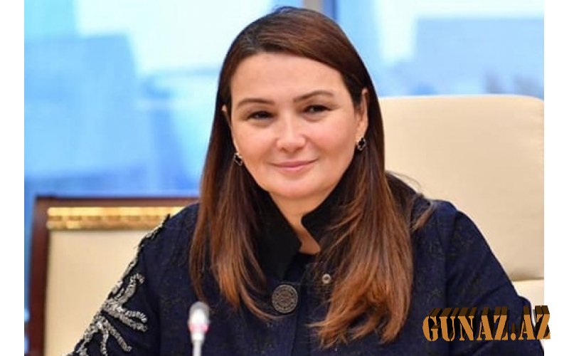 Paşayeva konfransda çıxış etdi