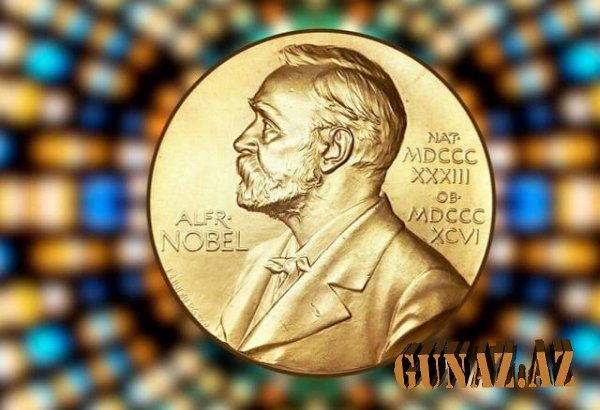 "Nobel" üçün Azərbaycandan olan müraciətlərin sayı açıqlandı