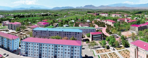 Bu icra başçısı da müavinini işdən çıxardı