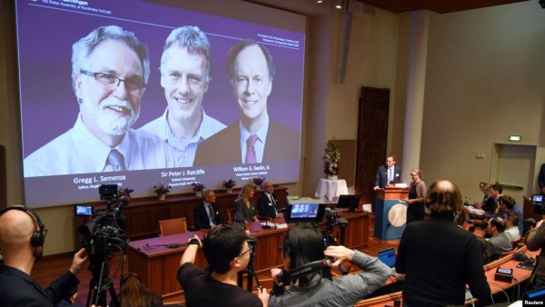 Tibb üzrə Nobel mükafatçıları bəlli oldu