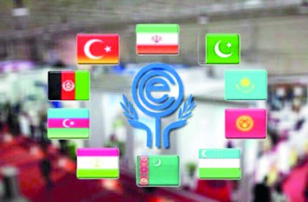 Bütün sahələrdə əməkdaşlıq VACİBDİR