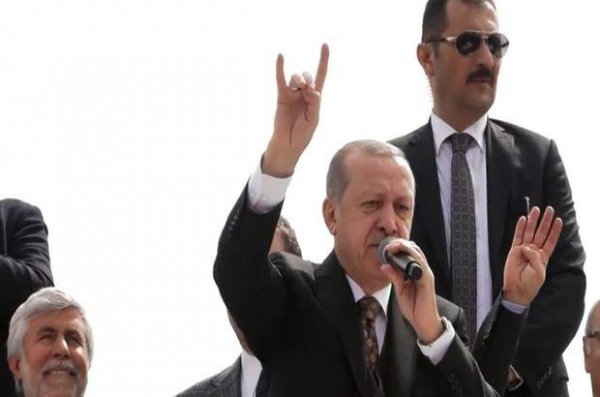Niyə Bozqurd? Bu işarənin tarixi nə vaxta dayanır?