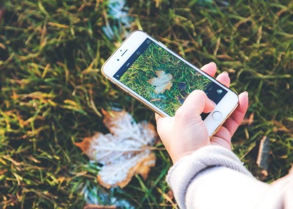iPhone istifadəçilərinin nəzərinə - Bu tətbiqi dərhal silin!