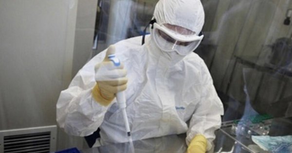 Yeni növ koronavirus aşkar edildi
