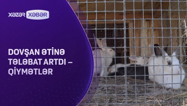 Dovşan ətinə tələbat artdı – QİYMƏTLƏR VİDEO