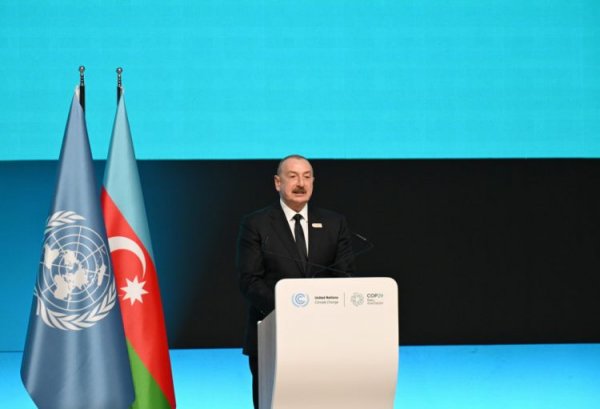 Kiçik ada dövlətlərinin səsi qlobal arenada eşidilməlidir