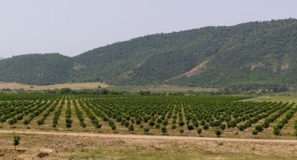Torpaq sahələrinizi satmayın!