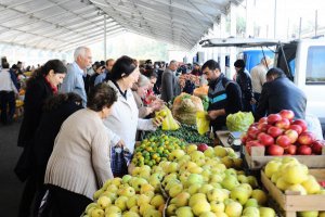 Market, yoxsa yarmarka bahadır?