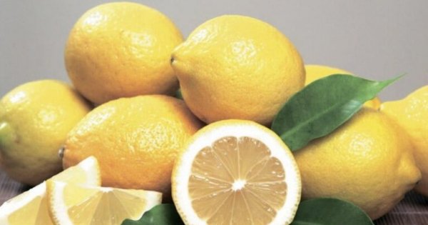 Əhaliyə limonla bağlı xəbərdarlıq edildi