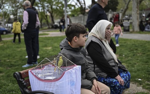 Zəlzələdə xəsarət alanların sayı açıqlandı