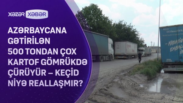 500 tondan artıq kartof gömrükdə çürüyür-VİDEO