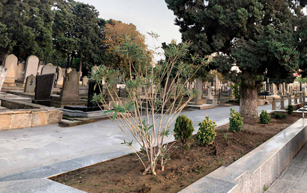 Qəbiristanlıqda 14 yaşlı qıza əxlaqsızlıq edənə - 4 il 3 ay həbs!