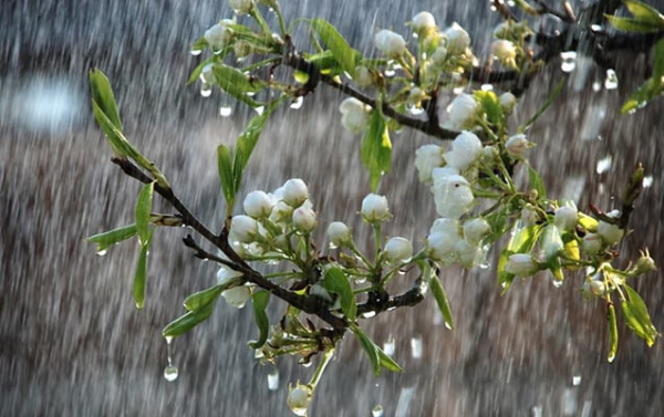 Hava ilə bağlı - Xəbərdarlıq