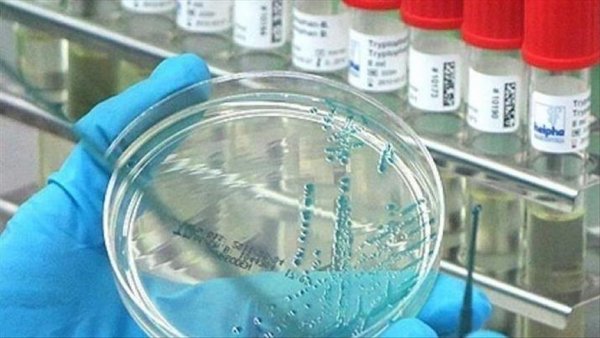 Bu ölkədə "beyin yeyən" infeksiya aşkarlandı