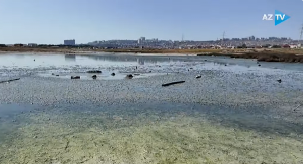 Adı sağlamlıq özü isə xəstəlik saçan “Yodlu göl” - VİDEO