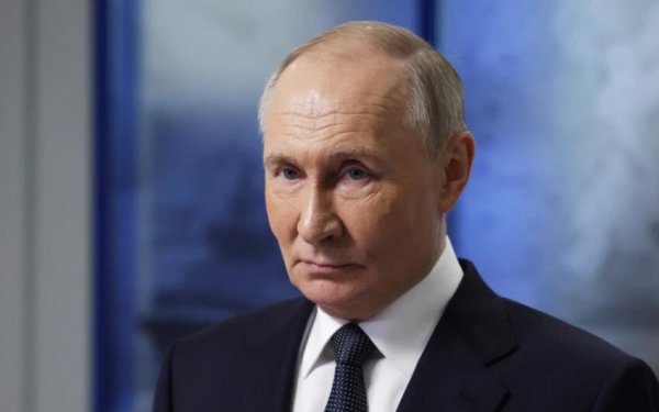 Putin: Ayı bizim simvolumuzdur, dünyanın ən böyük pələngi də rusdur