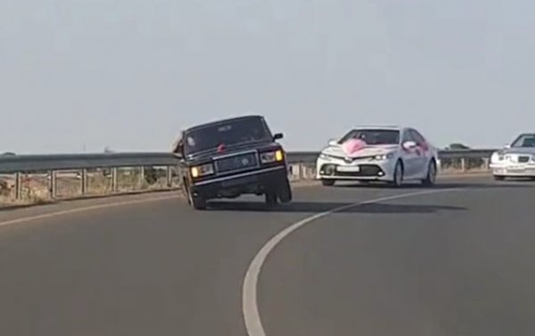 Toy karvanlarında "avtoş"luq edənlərə XƏBƏRDARLIQ