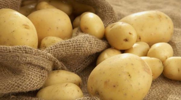 B6 vitaminli super qida: kartofun faydaları saymaqla bitmir