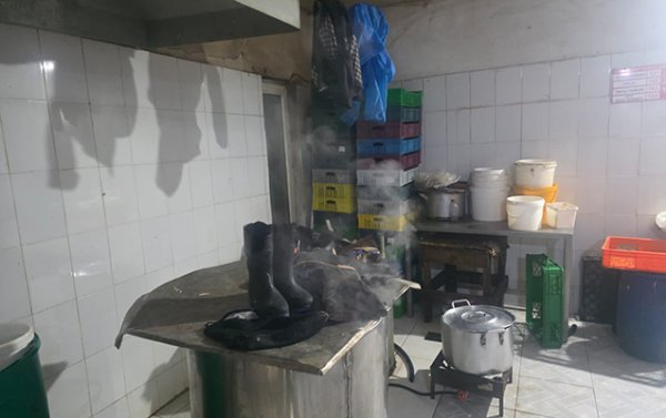 Toyuq ətini bu şəraitdə istehsal edirlərmiş