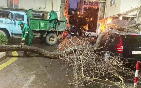 Bakıda əsən güclü küləyin FƏSADLARI