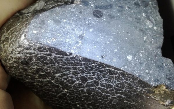 Marsdan gələn 4,5 milyard illik asteroiddə su aşkarlandı