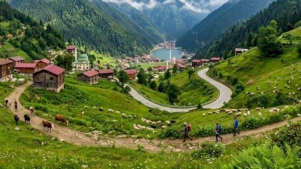 Yaşamaq üçün ən əlverişli şəhərlər
