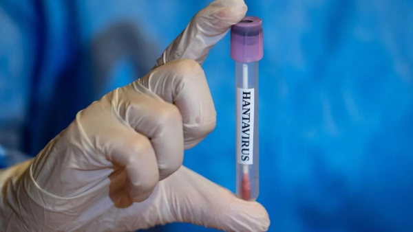 Polşada hantavirus həyəcanı: Bir nəfər karantinə alındı