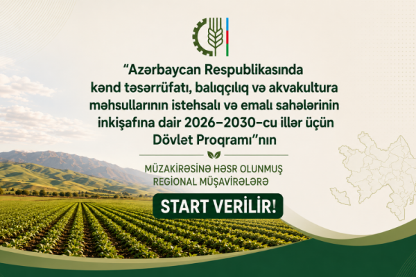 Yeni Dövlət Proqramı bölgələrə nə vəd edir? Regional müzakirələr başlayır