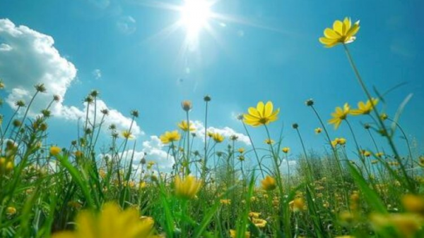 Azərbaycanda temperatur 40 dərəcəyə çatdı - Hava proqnozu